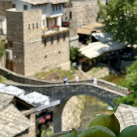 Old Town Nest 公寓 莫斯塔尔