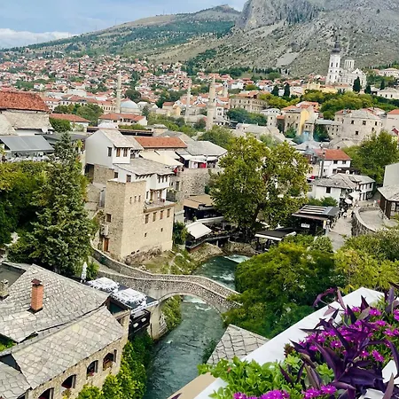 Old Town Nest